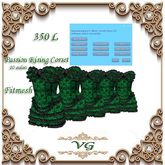 *VG Passion Rising Corset Green_ 10 Colors(mod)(trans)