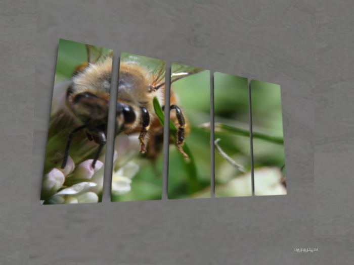 NN Designs  Bee's life (Broken Canvas / Boxed)