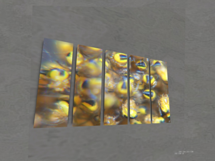 NN Designs  Close Family (Broken Canvas / Boxed)