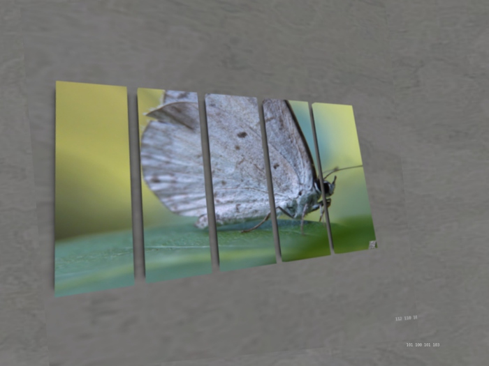 NN Designs  Flutterness (Broken Canvas / Boxed)