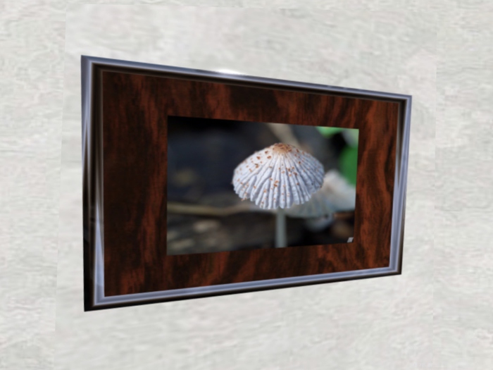 NN Designs  Fun guy! (framed / boxed)