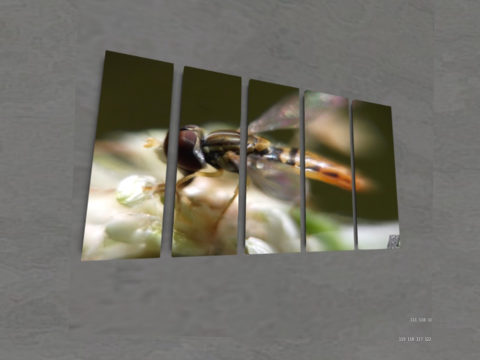 NN Designs  Hunter gatherer (Broken Canvas / Boxed)