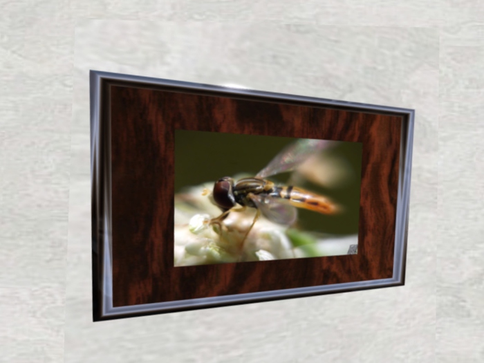 NN Designs  Hunter gatherer (framed / boxed)