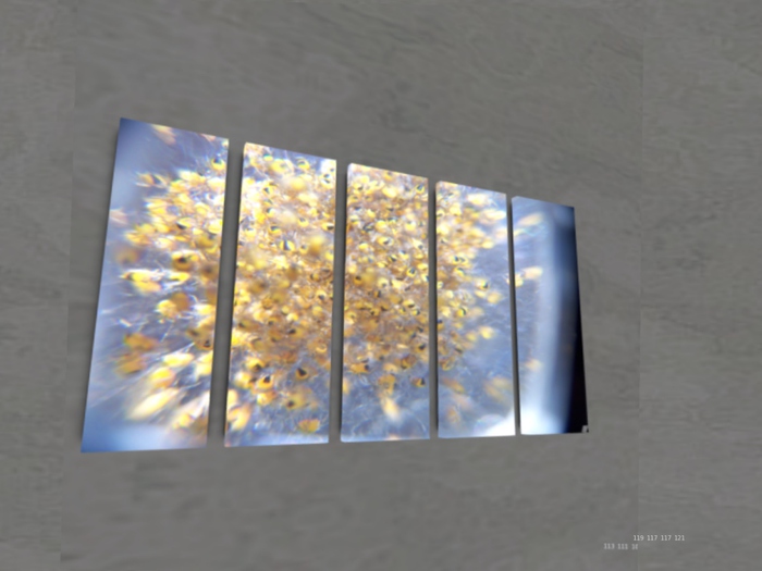 NN Designs  In a bunch 2 (Broken Canvas / Boxed)