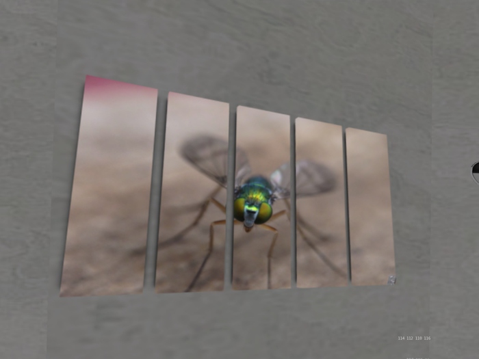 NN Designs  Iridescent fly tiny (Broken Canvas / Boxed)