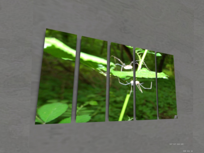 NN Designs  Natures duality (Broken Canvas / Boxed)