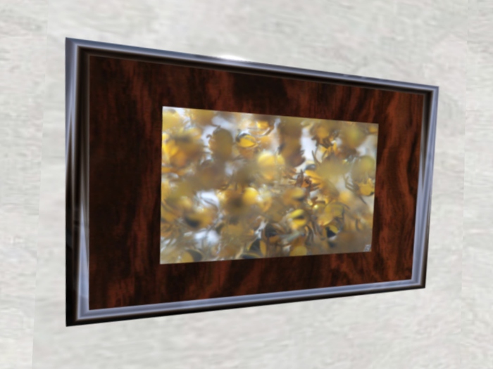 NN Designs  One of the spiders  (framed / boxed)