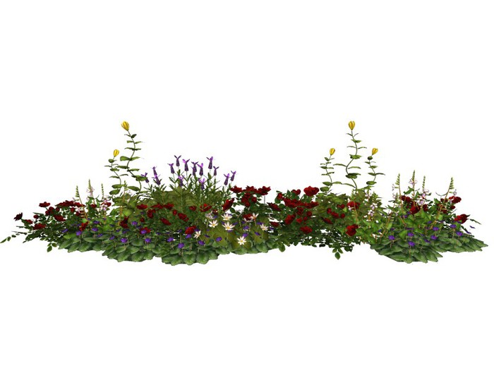 MSD - Formal Garden Collection - Micah - Strip Garden - A