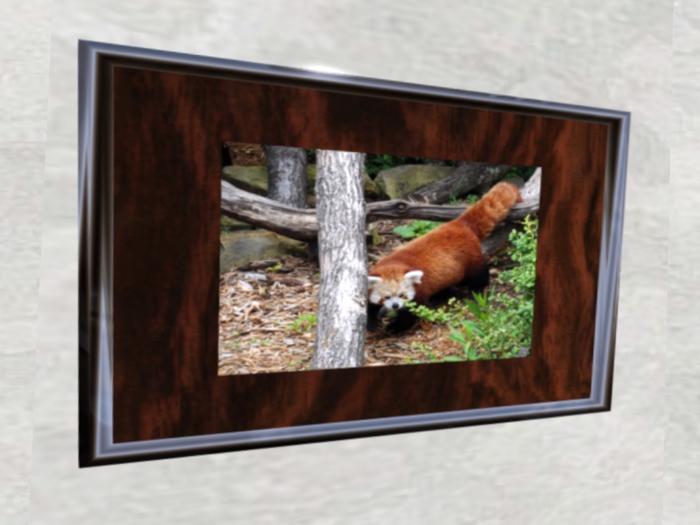 NN Designs  Pandamonium (framed / boxed)