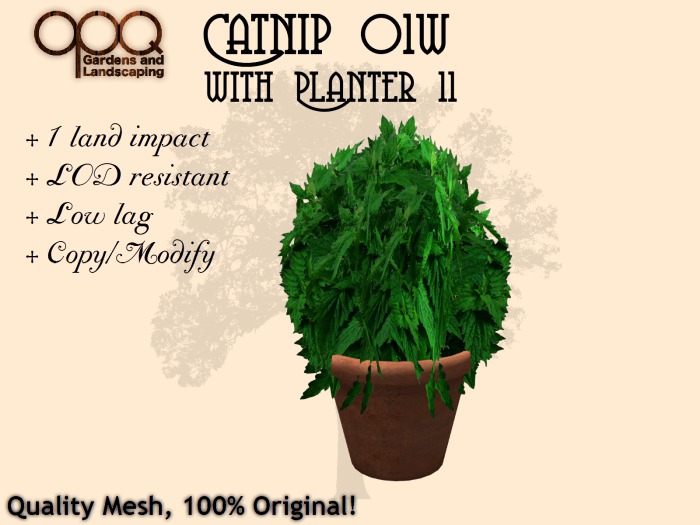 OPQ Catnip 01w with Planter 11 (CM) (Boxed)