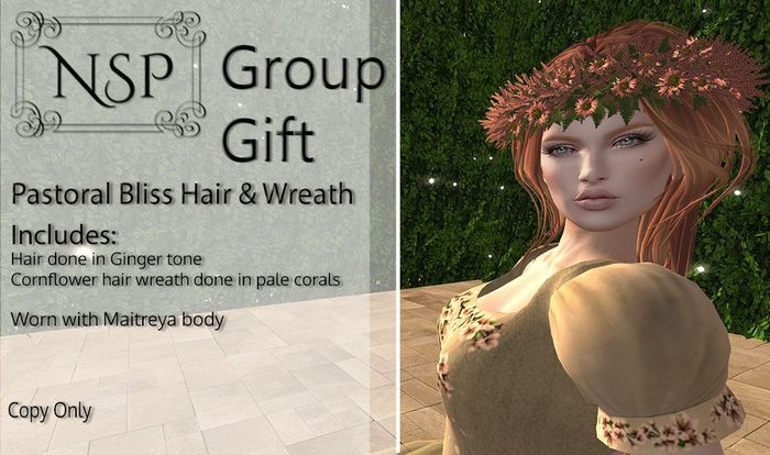 NSP Pastoral Bliss Hair - Group Gift V3 pkg hud