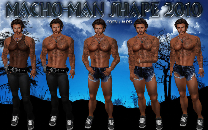 Macho-Man Shape 2010 [AZ] (Boxed)