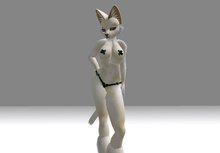 Sand Felis Box