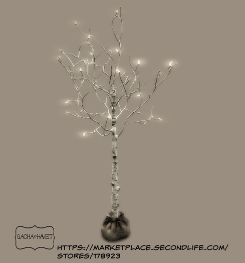 5. Apple Fall Twinkling Birch Retired