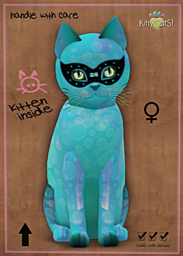 KittyCatS Box - New Born Kitten