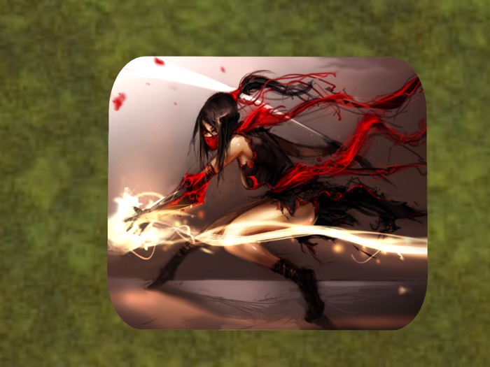 RAD- Ninja Girl Delivery box