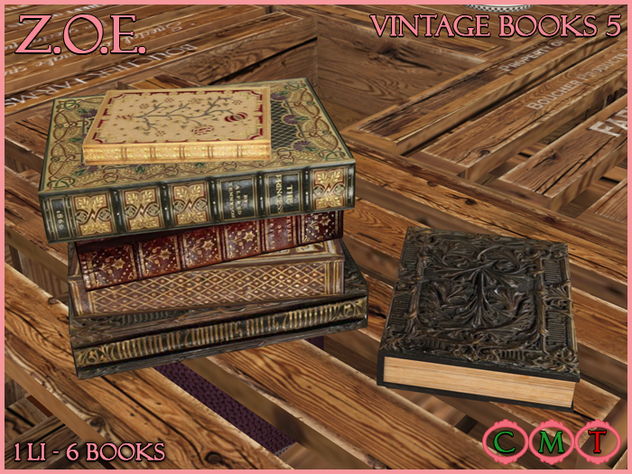 Z.O.E. Vintage Books 5 (Bagged)