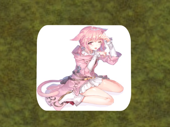 RAD-Neko Girl Pigtails Delivery box
