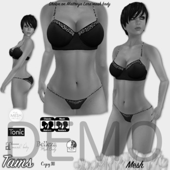 Second Life Marketplace - Bra & Panty Set - Lila - DEMO