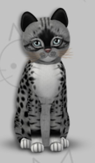 KittyCatS Box - Genesis Bandit II/3T/Female/Serenity