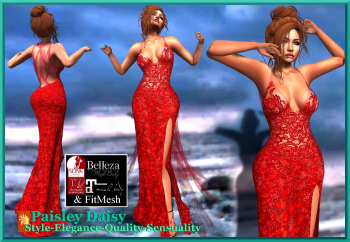Paisley Daisy - Spellbinding Sheer Red Gown
