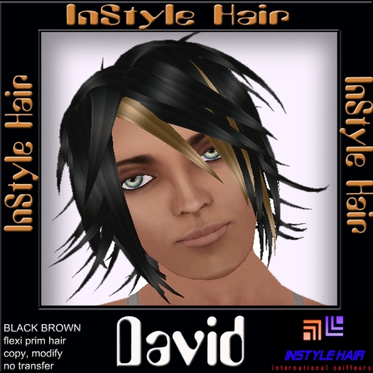 InStyle Hair - DAVID - for men (black brown)