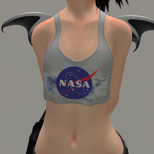 NASA Mod - Kemono Workout Tank