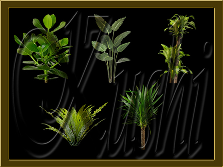 Plant Alpha Pattern Second Life Marketplace - Plants Alpha Collection #01 Textures