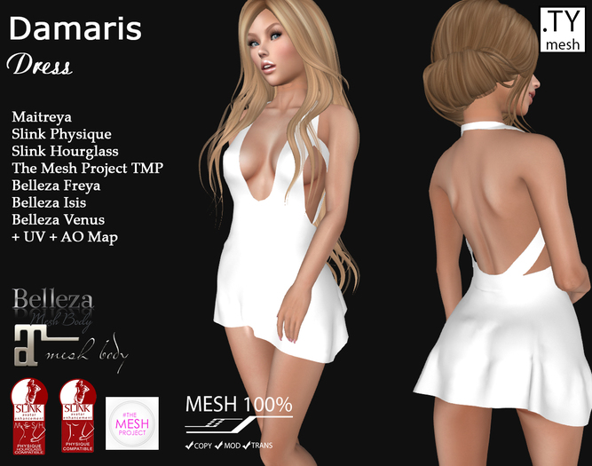 Dress Full Perm Mesh