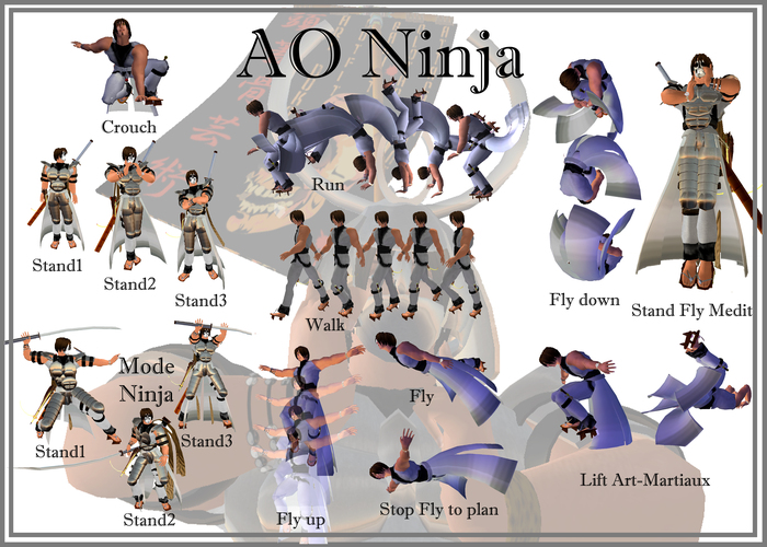 AO Ninjya HUD
