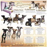 JIAN Glam Greyhounds 17. Held Adult Brindle BOX