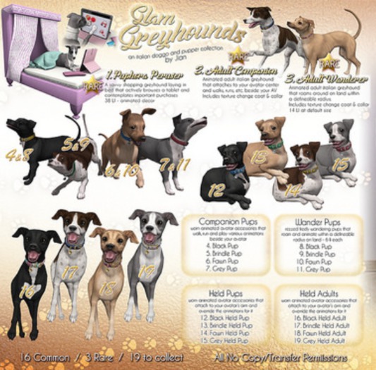 JIAN Glam Greyhounds 4. Companion Pup Black BOX