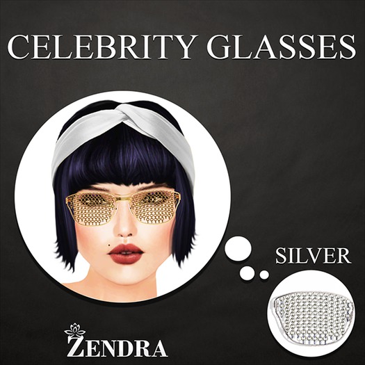 Celebrity glasses Silver
