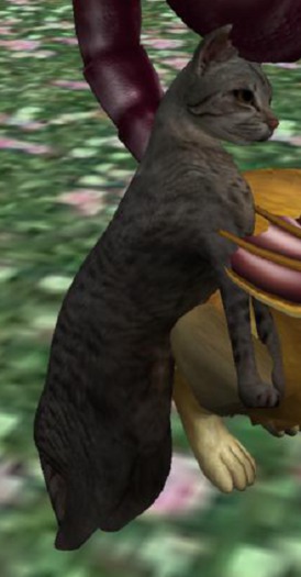 [ACroft] Mama Tabby RARE