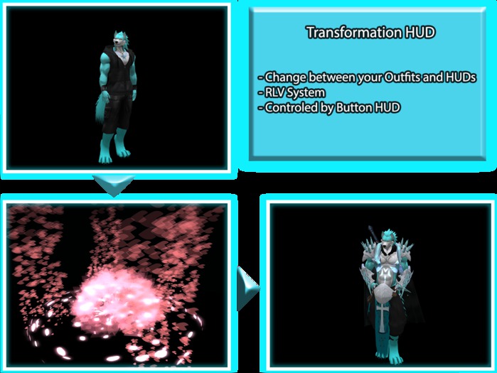 [ZP] Transformation HUD (Blossom)