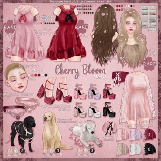 nani - cherry bloom - labrador B-2