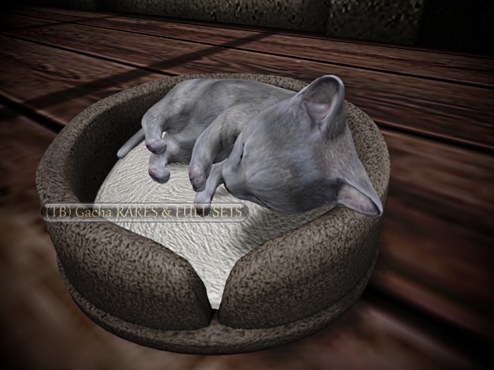 KITE - Russian Blues - Cat Bed RARE