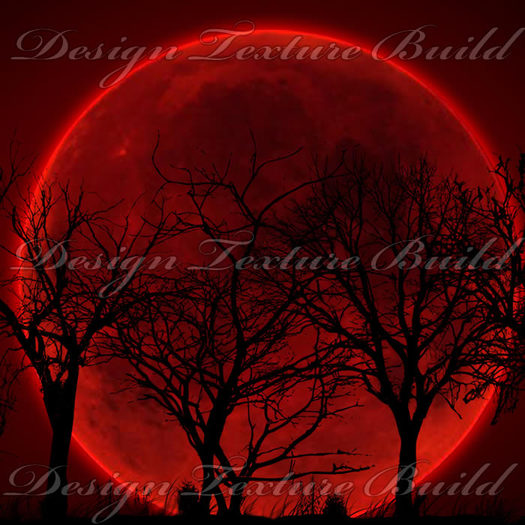 Texture Gothic