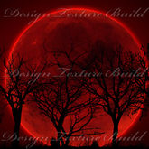 Texture Gothic