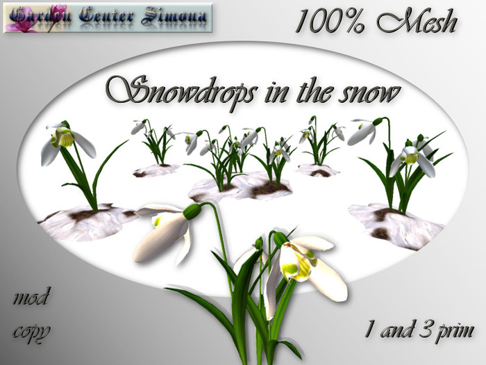 Snowdrops in the snow  100% Mesh