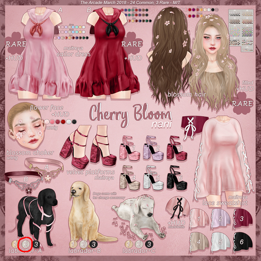 nani - cherry bloom - labrador A-2
