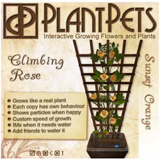 PlantPet Seed [Climbing Rose *Sunset Orange*]