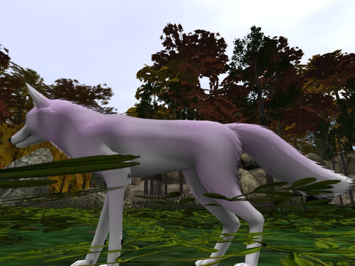 P&C TWI Pink White Fox Mod