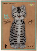 KittyCatS Box - Toyger - Silver