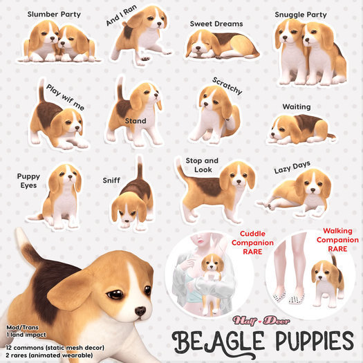 +Half-Deer+ Beagle Puppy - Sniff