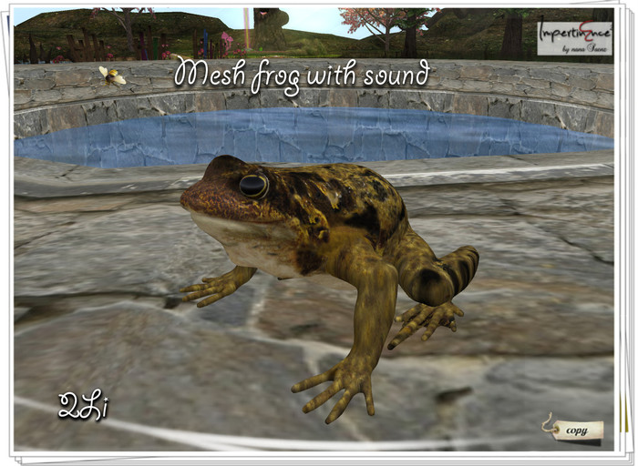 Frog with sound 2 li