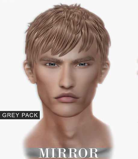MIRROR - Justin Hair -Grey Pack-
