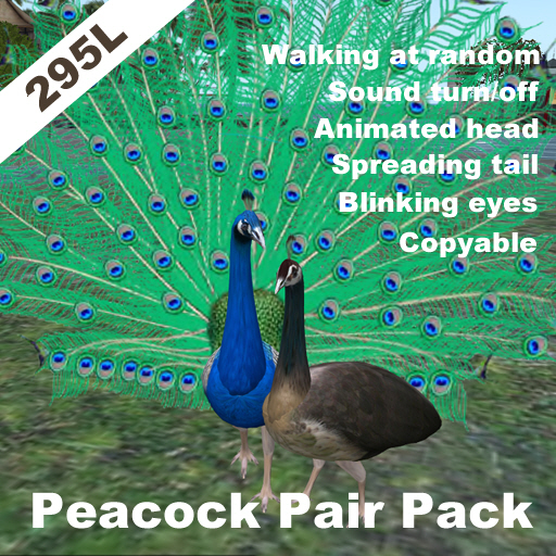 Peacock Pair Pack(copyable, feedable)