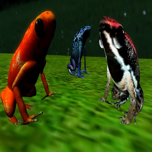 Unity Empire Poison Frogs Set.2