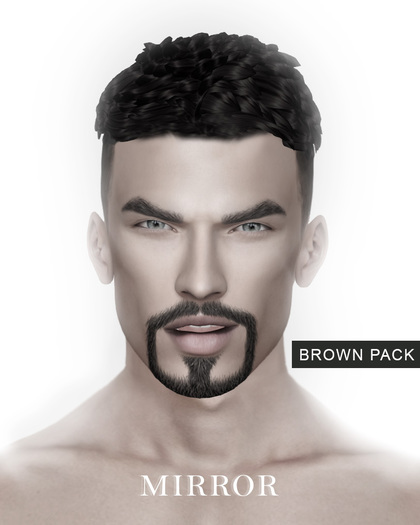 MIRROR - Rick Hair -Brown Pack-